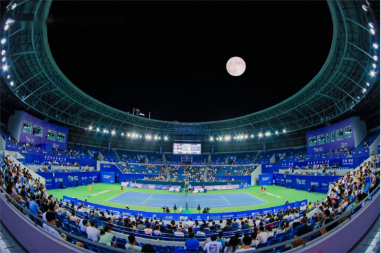 的双胞胎姐 的双胞胎姐