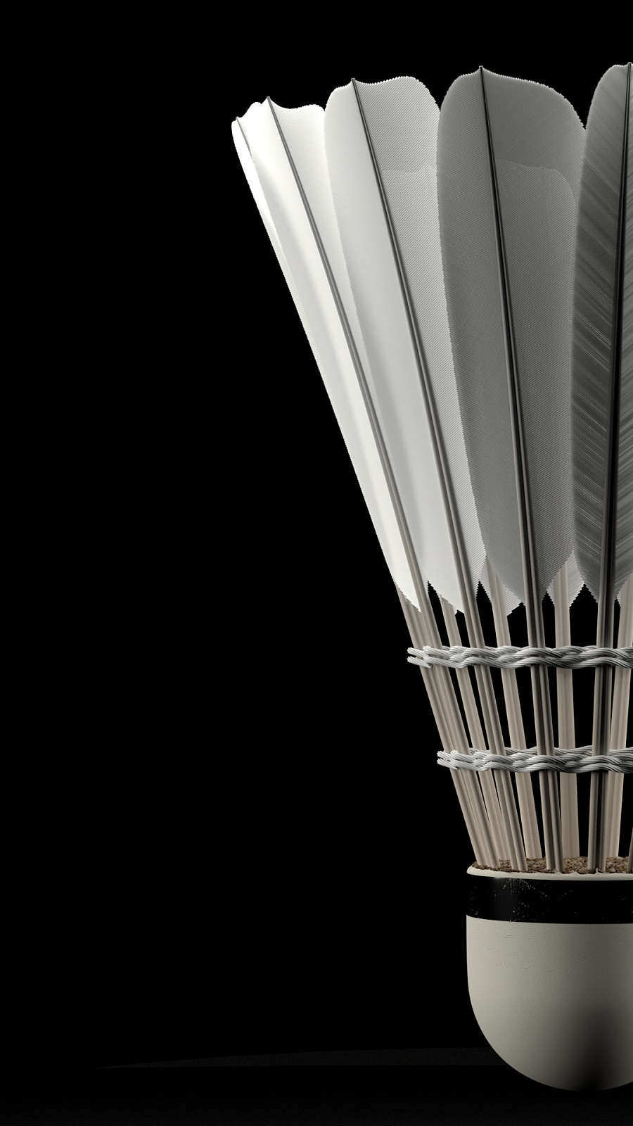 这支球队的 这支球队的